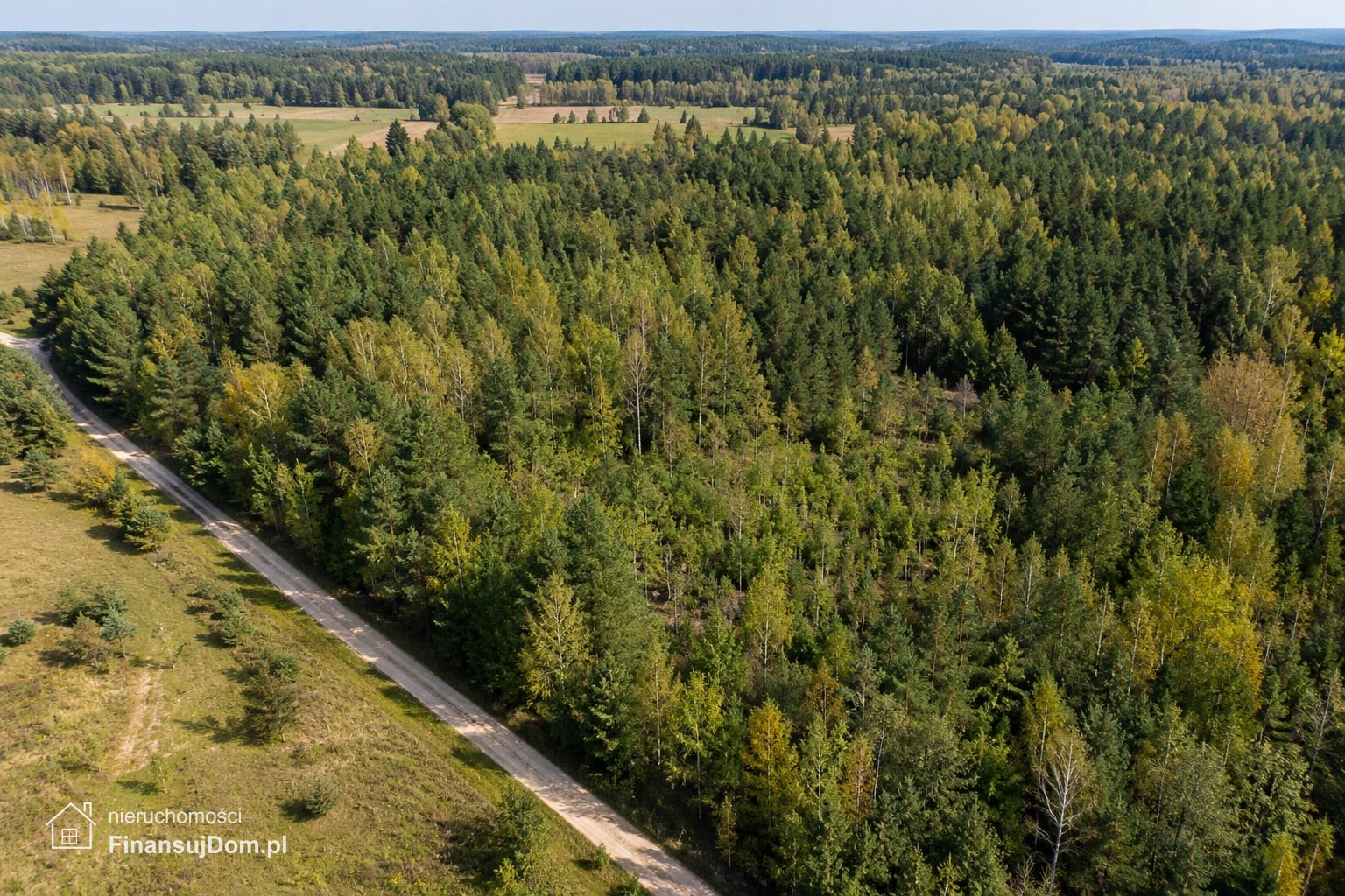 Działka leśna z dostępem drogą gruntową — zdjęcie 3 z 5