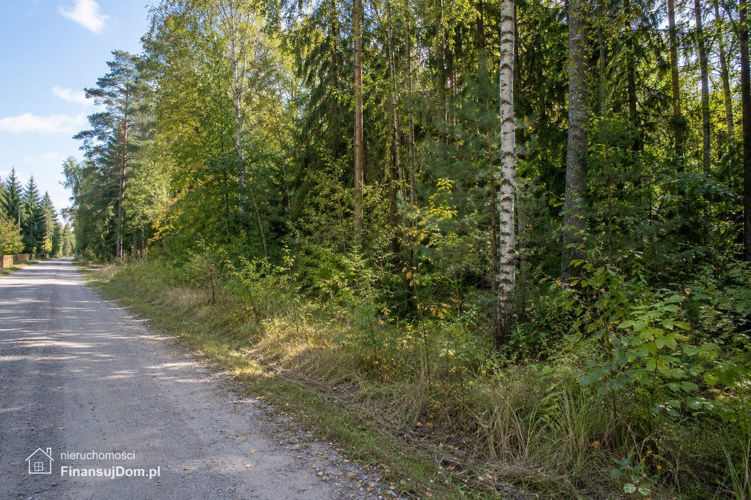 Działka leśna z dostępem drogą gruntową — zdjęcie 4 z 5