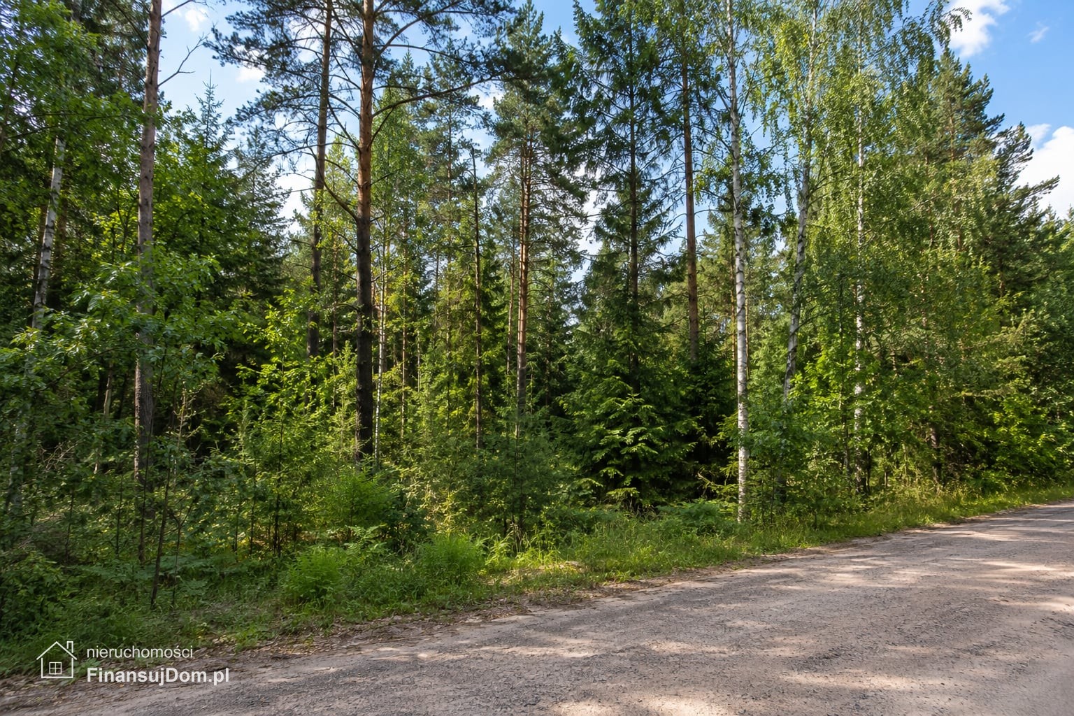 Działka leśna z dostępem drogą gruntową — zdjęcie 2 z 5